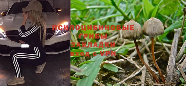 винт Алексин